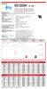 Raion Power 12V 55Ah Battery Data Sheet for Dual Lite 12-759