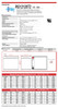 Raion Power 12V 12Ah AGM Battery Data Sheet for Simplex 2081-9288