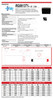Raion Power RG0613T1 6V 1.3Ah Battery Data Sheet for GE Security Caddx 60914