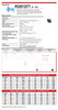 Raion Power 6V 12Ah AGM Battery Data Sheet for ADT Security 899953 Version 1