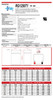 Raion Power RG1250T1 Battery Data Sheet for Ademco Vista 250BPT