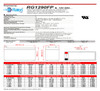 Raion Power 12V 9Ah Battery Data Sheet for Schumacher Electric XP750