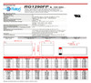 Raion Power 12V 9Ah Battery Data Sheet for Peak PKC0J6 600 Peak Amp