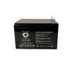 Raion Power RG12120PP SLA Battery for NEATA NT12-12 NB