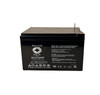 Raion Power RG12120PP SLA Battery for Wagan Tech 2467 300 Amp