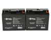 Raion Power Replacement 12V 22Ah Battery for Stanley J509 500 Instant 1000 Peak Amp - 2 Pack