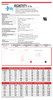 Raion Power RG0670T1 Battery Data Sheet for Daymak Lamborghini Murcielago LP 640