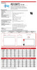 Raion Power 12V 9Ah Battery Data Sheet for LashOut Scooter