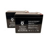 Raion Power 12V 10Ah Lead Acid Replacement Battery for EV Rider MiniRider Folding - 2 Pack