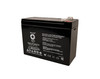 Raion Power 12V 10Ah Non-Spillable Replacement Rechargebale Battery for IZIP Via Lento
