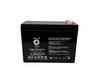 Raion Power RG12100T2 12V 10Ah Compatible Replacement Battery for Mongoose M500 Scooter