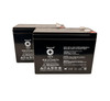 Raion Power 12V 10Ah Lead Acid Replacement Battery for Schwinn X1000kdz - 2 Pack