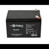 Raion Power RG12120T2 SLA Battery for Tao Motor E1-350