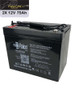 Raion Power Replacement 12V 75Ah Battery for Shoprider Enduro XL4+ 889XLSBN - 2 Pack