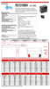 Raion Power RG121000I4 Battery Data Sheet for CTM HS-928 Mobility UPS