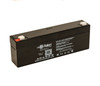 Raion Power RG1223T1 Replacement Battery for Nihon Kohden CardioFax ECG 5105