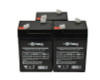 Raion Power 6 Volt 4.5Ah RG0645T1 Replacement Battery for Long Way LW-3FM3.5 - 3 Pack