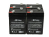 Raion Power 6 Volt 4.5Ah RG0645T1 Replacement Battery for Long Way LW-3FM4J - 4 Pack