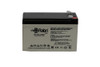 Raion Power RG129-36HR Replacement High Rate Battery Cartridge for Toshiba 1800 Series 1500VA