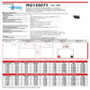 Raion Power RG1250T1 Battery Data Sheet for Guldmann Lifting Platform LP7 Raion Power RG1250T1 Battery Data Sheet for Guldmann Lifting Platform LP7