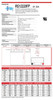 Raion Power 12V 22Ah Battery Data Sheet for Clore Automotive JNCXFE Jump-N-Carry Jump Starter