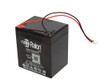 Raion Power 12V 5Ah RG1250WP Replacement External Garage Door Backup Battery