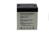 Raion Power RG126-22HR Replacement High Rate Battery for Liebert 500VA GXT3-500RT120 - Back View