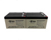 Raion Power 12V 7.5Ah High Rate Discharge UPS Batteries for CyberPower 1500VA OP1500 - 4 Pack