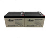 Raion Power 12V 7.5Ah High Rate Discharge UPS Batteries for Sola NETWORK UPS N1200 - 4 Pack
