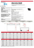 Raion Power RG1218-70HR Battery Data Sheet for Minuteman CP 10K/2 UPS