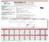 Raion Power RG0685T1 6V 8.5Ah Battery Data Sheet for DET Power SJ6V8Ah-S