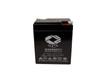 Raion Power RG0685T1 Rechargeable Compatible Replacment Battery for Energy Power EP-SLA6-8.5