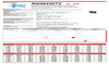 Raion Power RG06420T2 6V 42Ah Battery Data Sheet for CGB CB6360