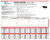 Raion Power RG1223W 12V 5.2Ah Battery Data Sheet for PCM Powercom HOF-460