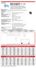Raion Power 12V 18Ah Battery Data Sheet for Bright Way Group BWG 12180F2