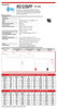 Raion Power 12V 35Ah Battery Data Sheet for Bosfa EVX12-33