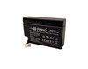 Raion Power RG1208P Replacement Battery for Diamec DM12-0.8