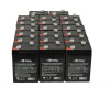 Raion Power 6V 4.5Ah Replacement Emergency Light Battery for Sure-Lites SL2602 - 20 Pack