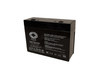 Raion Power 12V 5.2Ah 23W Non-Spillable Replacement Battery for Power Kingdom PS5-12Z