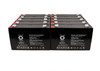 Raion Power RG0690T2 6V 9Ah Replacement Lead Acid Battery for DET Power SJ6V9Ah - 10 Pack