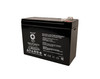 Raion Power 12V 10Ah Non-Spillable Replacement Rechargebale Battery for Universal Power UP10-12S