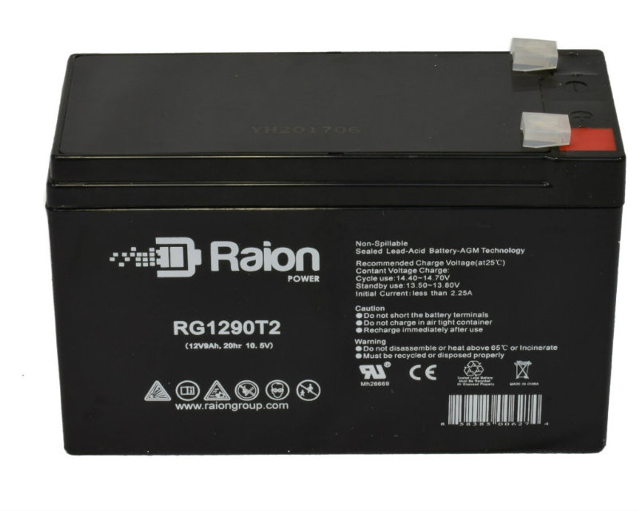 Raion Power RG1290T2 12V 9Ah Lead Acid Battery for Tennis Tutor Prolite Plus