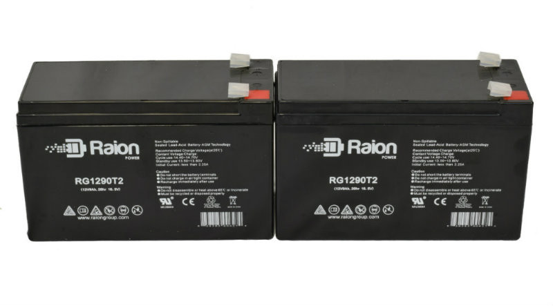 Raion Power Replacement 12V 9Ah Battery for Razor Scooter E200/E200 S - 2 Pack
