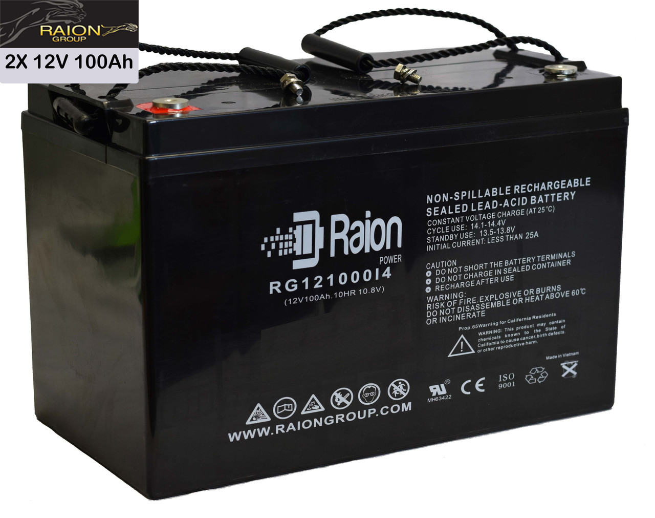 Raion Power 12V 100Ah Replacement Battery for Dragon Rover - 2 Pack