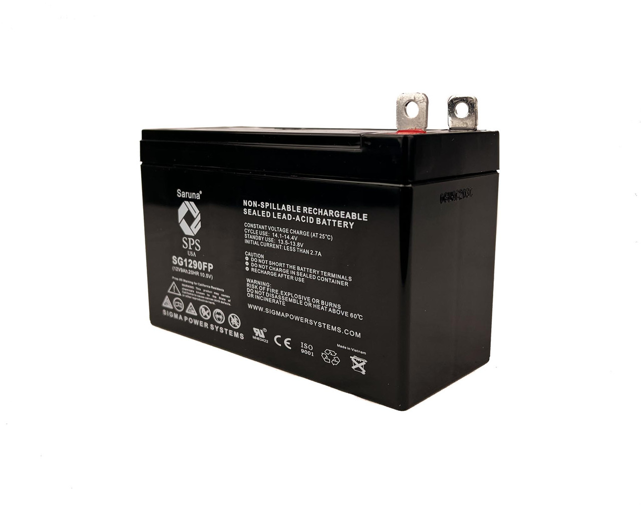 Raion Power Replacement 12V 9Ah Battery with FP Terminals for Generac YD-9-12 Generator