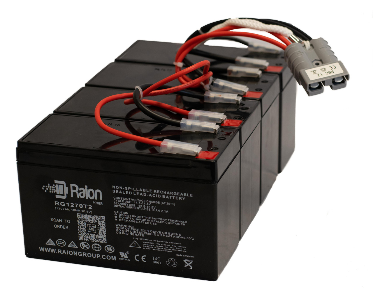 Raion Power Replacement RG-RBC12 Battery Kit for APC Smart-UPS 2200VA RM 3U SU2200RB3120