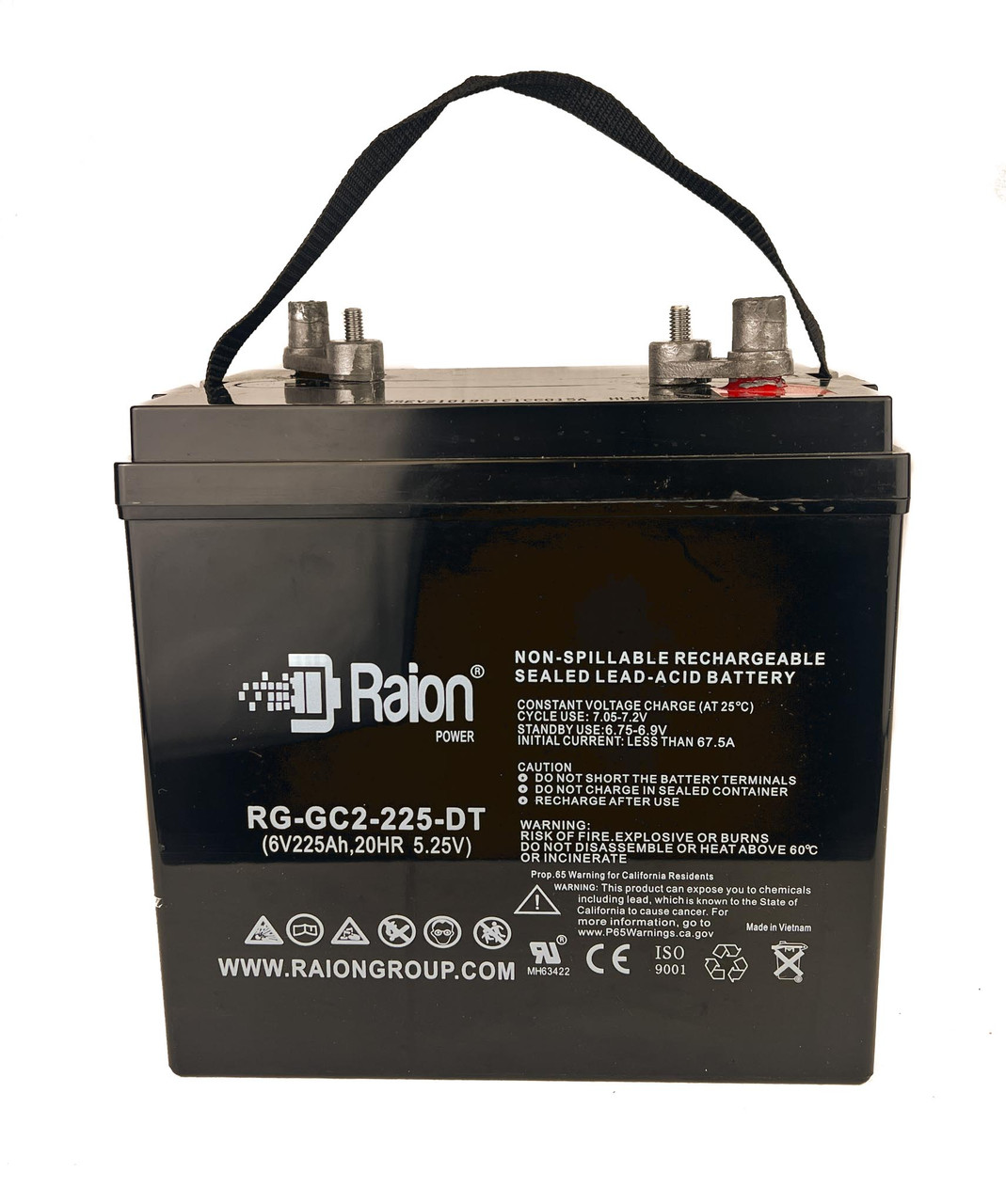 Raion Power RG-GC2-225-DT SLA Battery for Taylor Dunn B-200 Burden Carrier