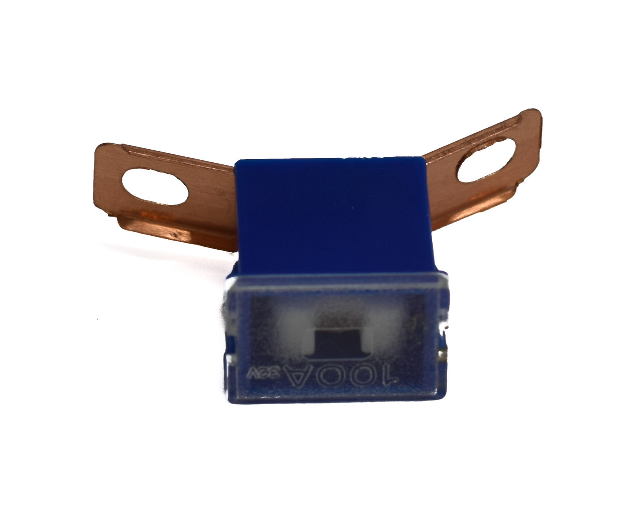 Raion Power Replacement RBC7 100A Fuse For APC BackUPS Pro 1400 