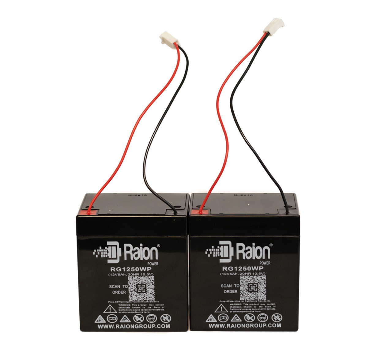 Raion Power RG1250WP Replacement Garage Door Battery for LiftMaster 2500 - (2 Pack)