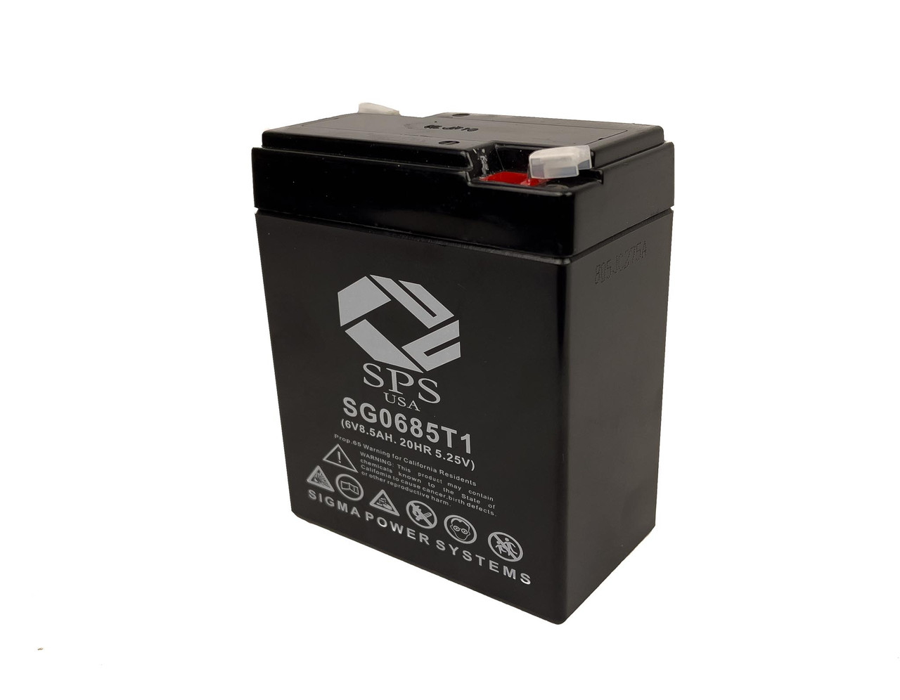 Raion Power 6V 8.5Ah Non-Spillable Replacement Battery for Sure-way 1006